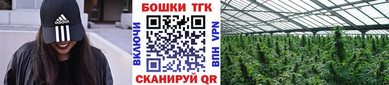 Купить Гашиш Бошки Шишки Alpha PVP Мефедрон Псилоцибиновые грибы Cocaine Амфетамин Иркутск