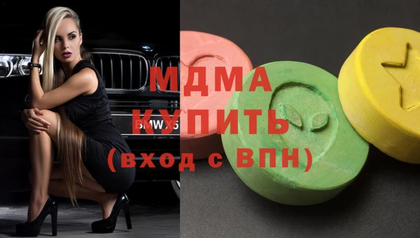 ГАЛЛЮЦИНОГЕННЫЕ ГРИБЫ Дмитриев