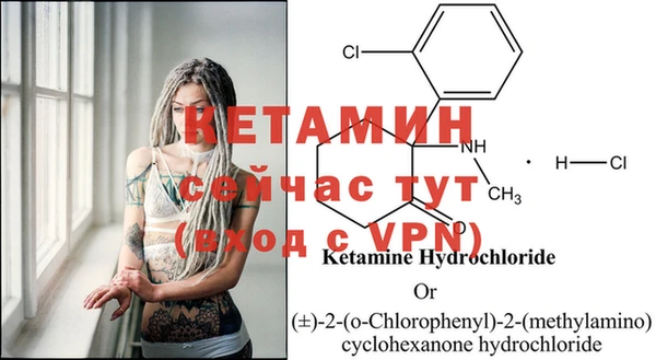 ГАЛЛЮЦИНОГЕННЫЕ ГРИБЫ Дмитриев