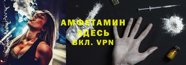 ГАЛЛЮЦИНОГЕННЫЕ ГРИБЫ Дмитриев