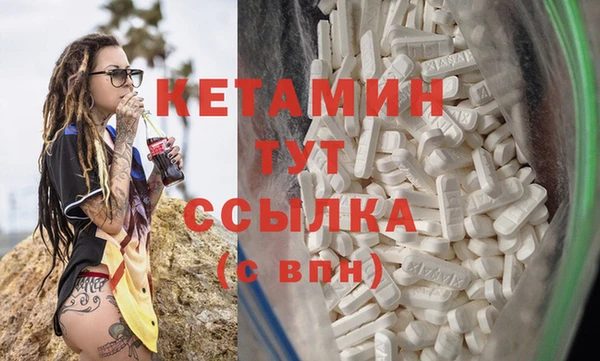 ГАЛЛЮЦИНОГЕННЫЕ ГРИБЫ Дмитриев