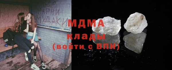 ГАЛЛЮЦИНОГЕННЫЕ ГРИБЫ Дмитриев