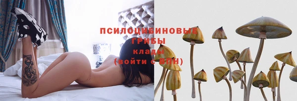 ГАЛЛЮЦИНОГЕННЫЕ ГРИБЫ Дмитриев