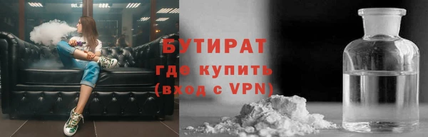ГАЛЛЮЦИНОГЕННЫЕ ГРИБЫ Дмитриев