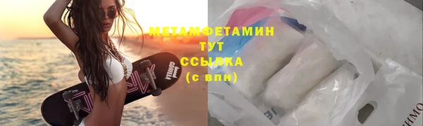 ГАЛЛЮЦИНОГЕННЫЕ ГРИБЫ Дмитриев