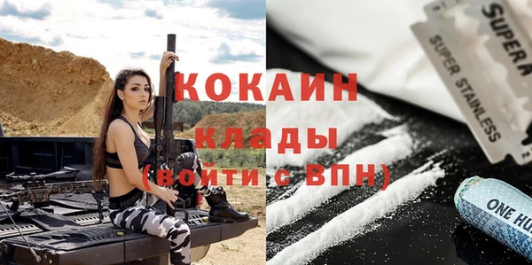 ГАЛЛЮЦИНОГЕННЫЕ ГРИБЫ Дмитриев