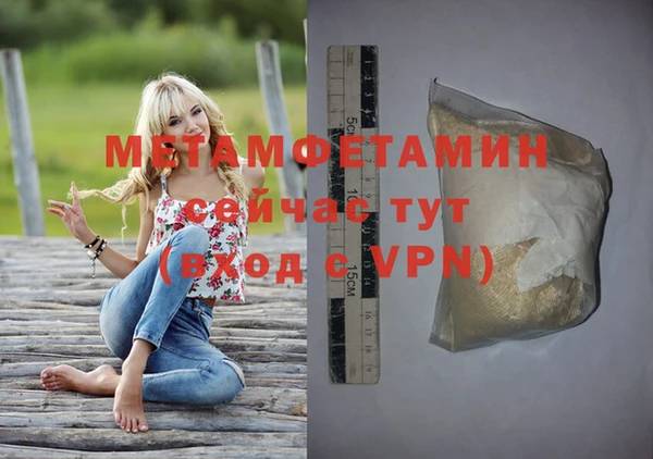 ГАЛЛЮЦИНОГЕННЫЕ ГРИБЫ Дмитриев