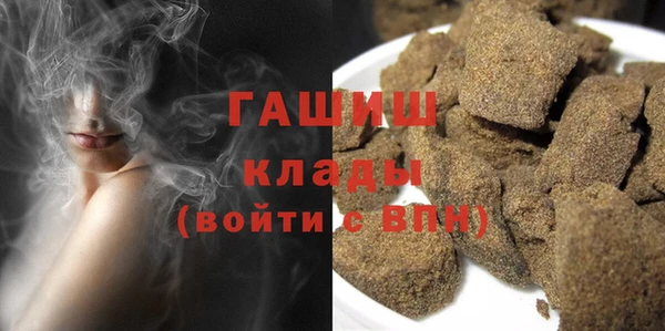 ГАЛЛЮЦИНОГЕННЫЕ ГРИБЫ Дмитриев