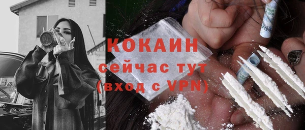 ГАЛЛЮЦИНОГЕННЫЕ ГРИБЫ Дмитриев