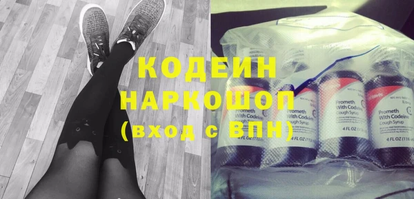 ГАЛЛЮЦИНОГЕННЫЕ ГРИБЫ Дмитриев