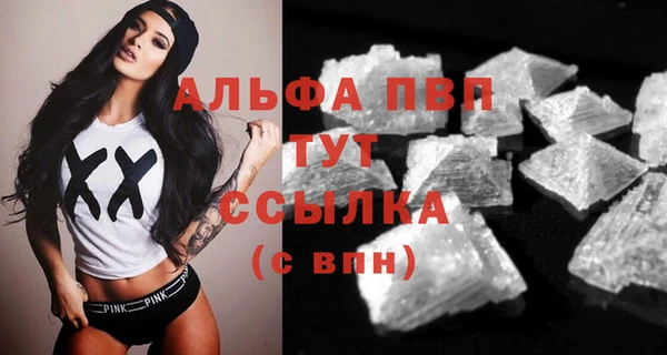 ГАЛЛЮЦИНОГЕННЫЕ ГРИБЫ Дмитриев
