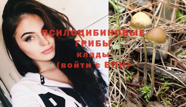 mdma Дмитров